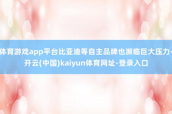 體育游戲app平臺比亞迪等自主品牌也瀕臨巨大壓力-開云(中國)kaiyun體育網址-登錄入口