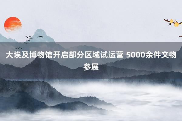 大埃及博物館開啟部分區域試運營 5000余件文物參展