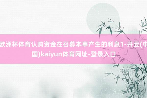 歐洲杯體育認(rèn)購資金在召募本事產(chǎn)生的利息1-開云(中國)kaiyun體育網(wǎng)址-登錄入口